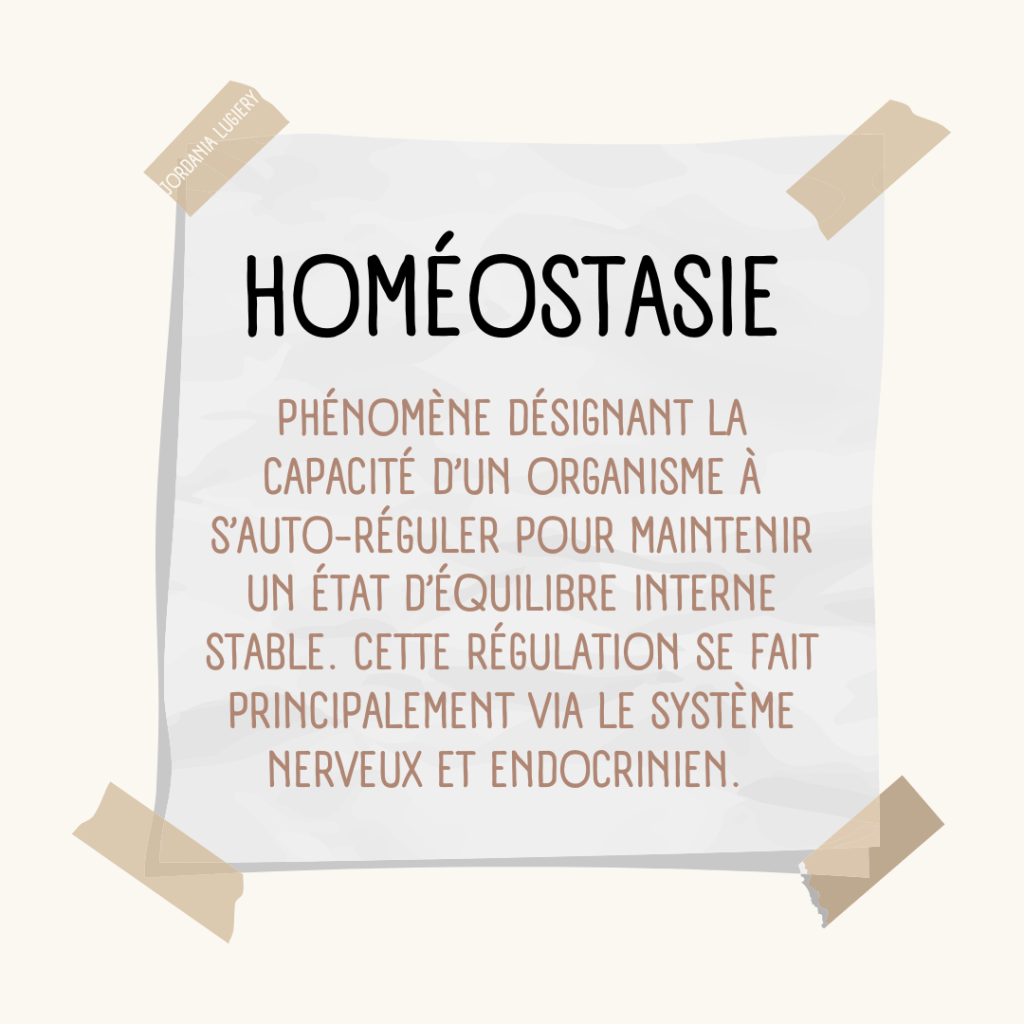 L&rsquo;HOMÉOSTASIE